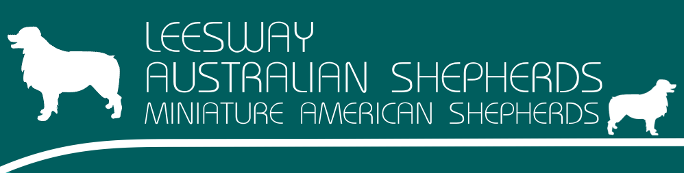 Leesway Main Heading